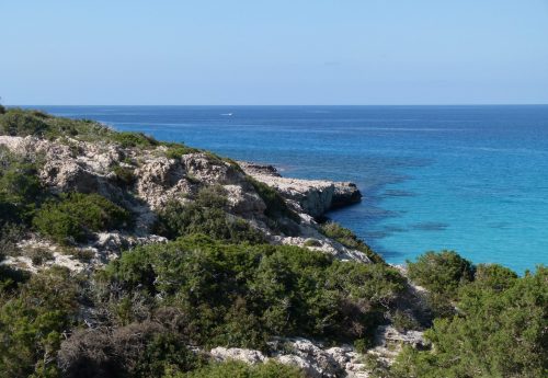חופשת השקט של הלב – יוגה, פילאטיס וריקוד בקפריסין