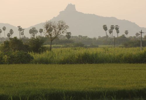 טיול להודו – ארץ המהארג'ות ובירת היוגה