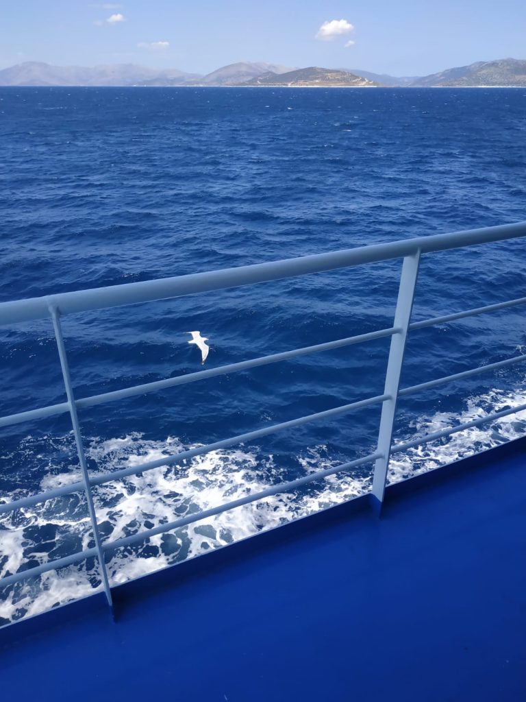 יוגה ופילאטיס באווירה יוונית – אוגוסט 2019