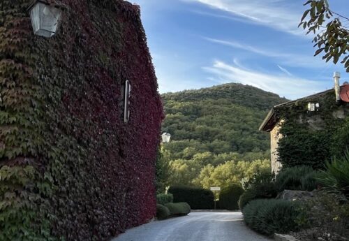 חופשת יוגה · ריקוד · ומיינדפולנס באיטליה – שבועות