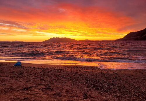 שורשים באדמה – ריטריט יוגה, תנועה וצמיחה ביוון