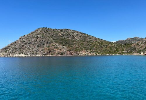 שורשים באדמה – ריטריט יוגה, תנועה וצמיחה ביוון